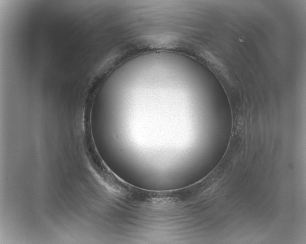 X0000069400686200605151019