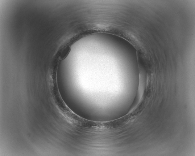X0000069400688200605151019