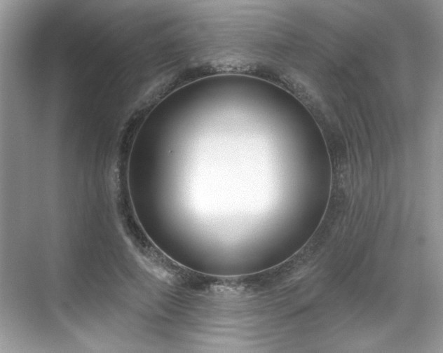 X0000069400690200605151019