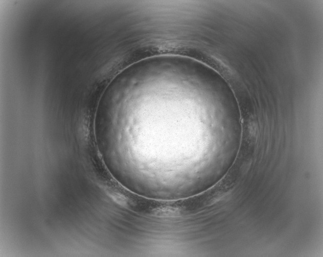 X0000069400691200605151019
