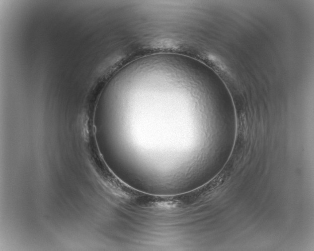 X0000069400692200605151019