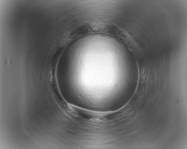 X0000069400703200605151019