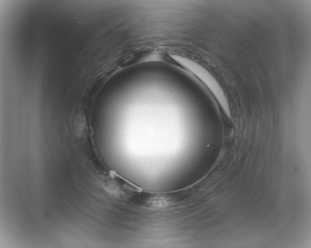 X0000069400704200605151019