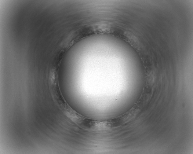 X0000069400709200605151019