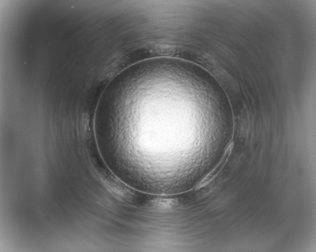 X0000069400711200605151019