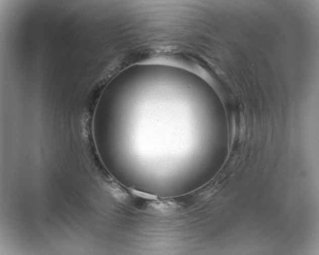 X0000069400712200605151019