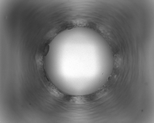 X0000069400713200605151019