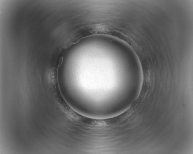 X0000069400715200605151019