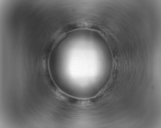X0000069400716200605151019
