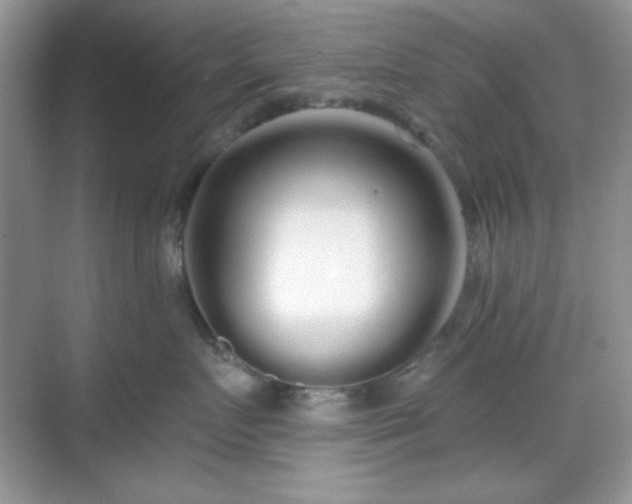 X0000069400719200605151019