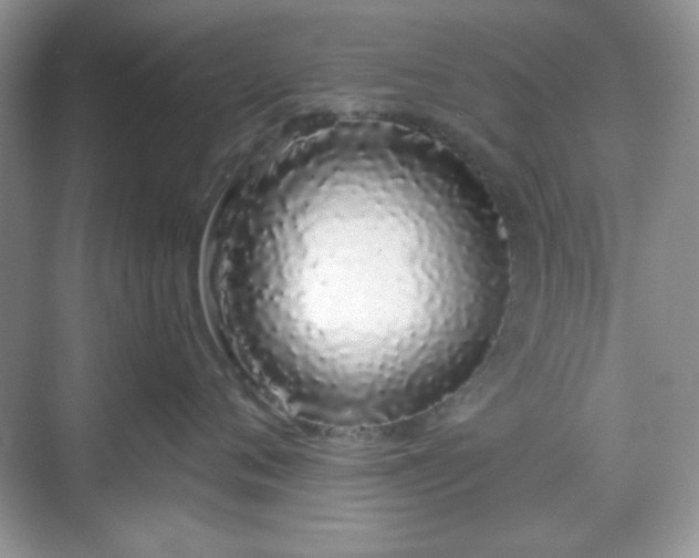 X0000069400720200605151018