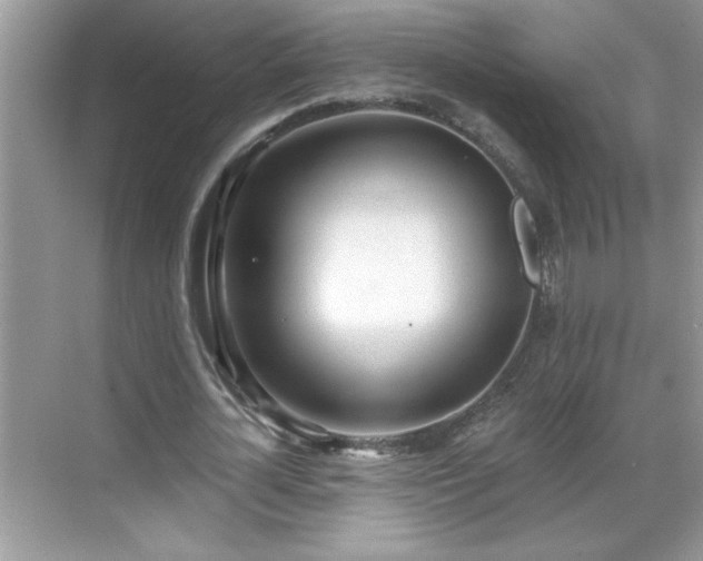 X0000069400724200605151018