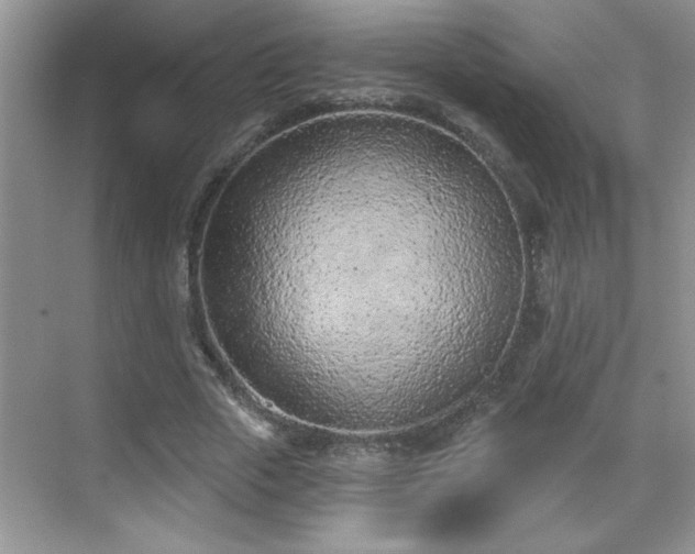 X0000069400729200605151018