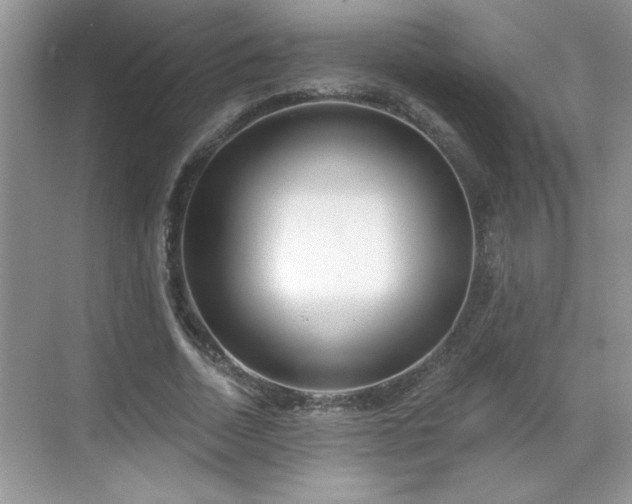 X0000069400730200605151018