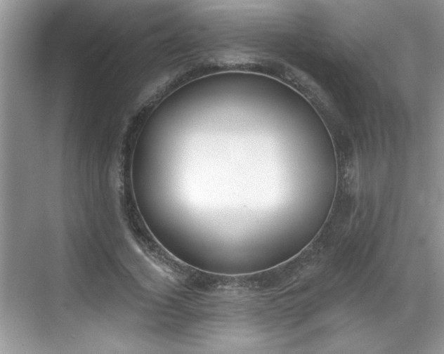 X0000069400732200605151018