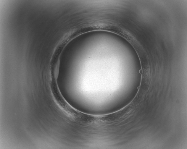 X0000069400734200605151018