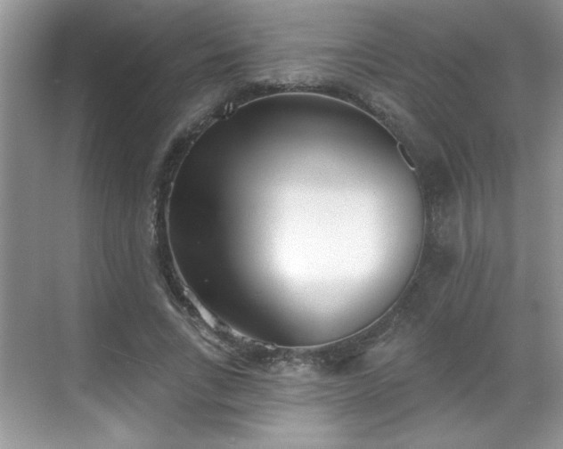 X0000069400735200605151018