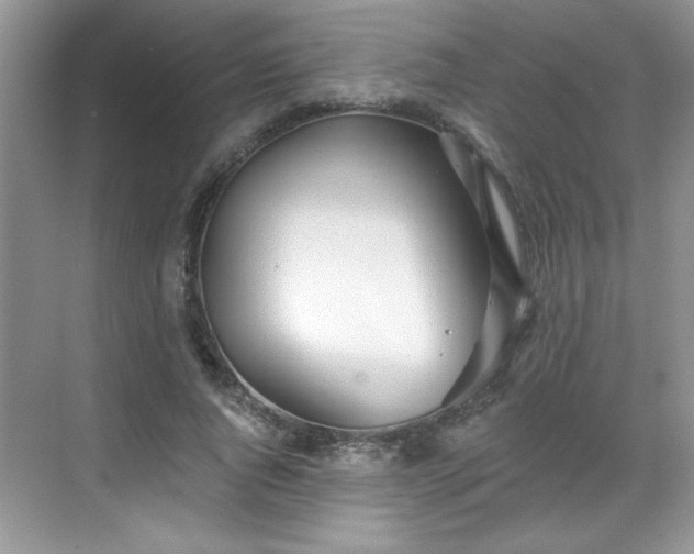 X0000069400736200605151018