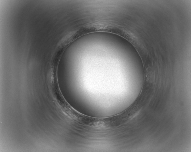X0000069400740200605151018