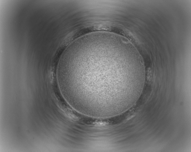 X0000069400741200605151018
