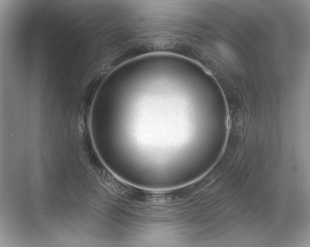 X0000069400746200605151018
