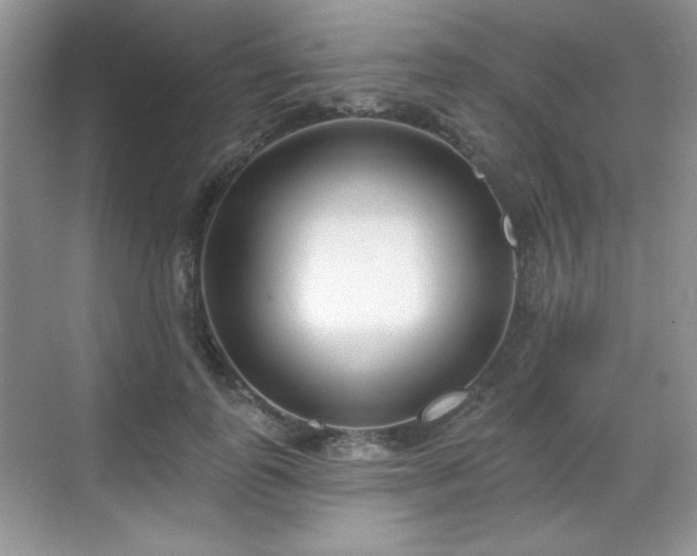 X0000069400747200605151018