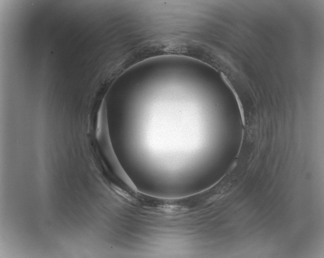 X0000069400748200605151018