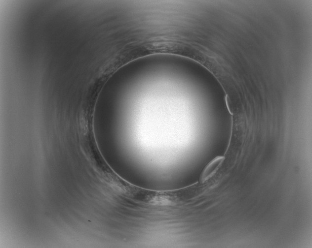 X0000069400751200605151018