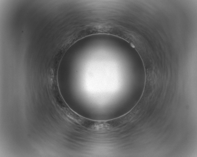 X0000069400752200605151018