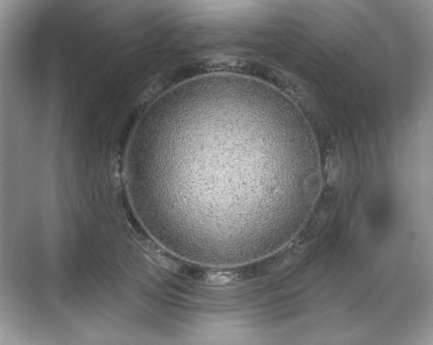 X0000069400753200605151018