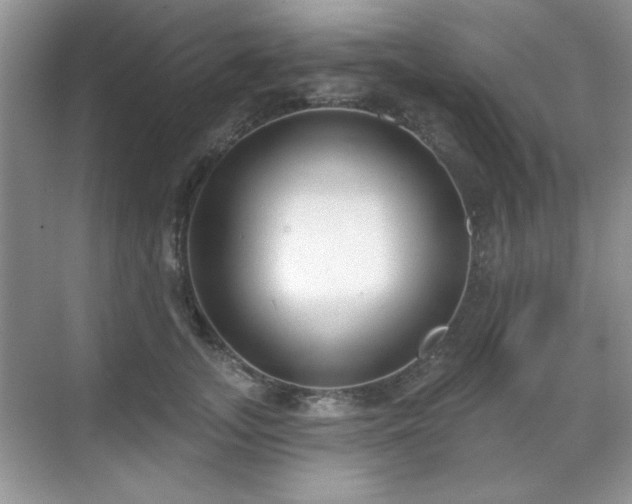 X0000069400755200605151018