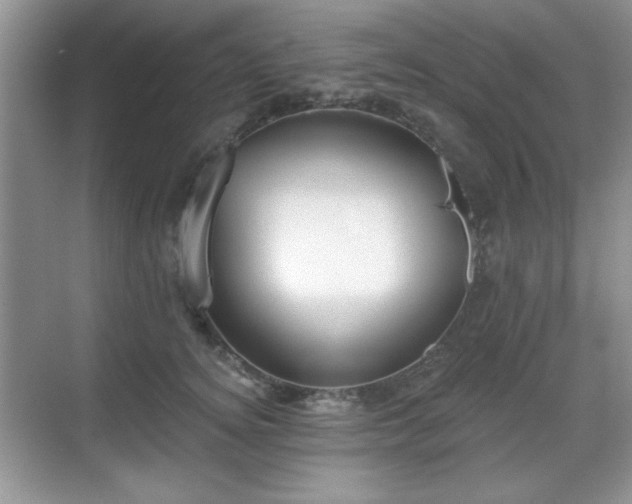 X0000069400756200605151018