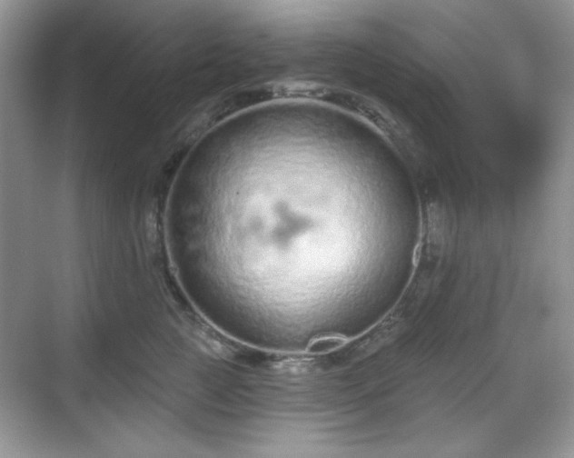 X0000069400761200605151018