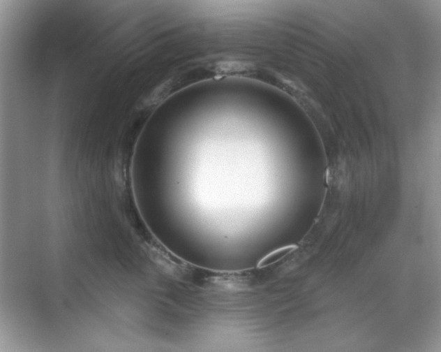 X0000069400763200605151018