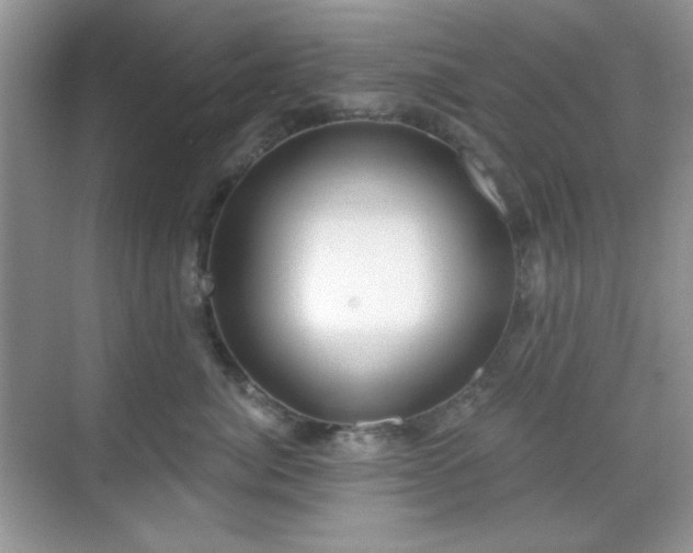 X0000069400764200605151018