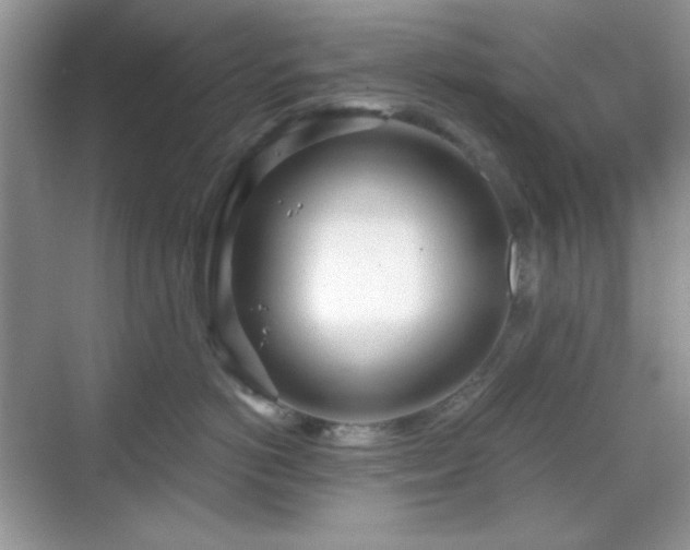 X0000069400766200605151018