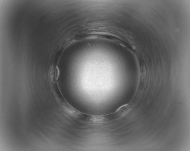 X0000069400767200605151018