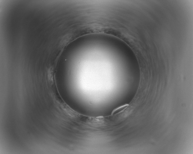 X0000069400768200605151018