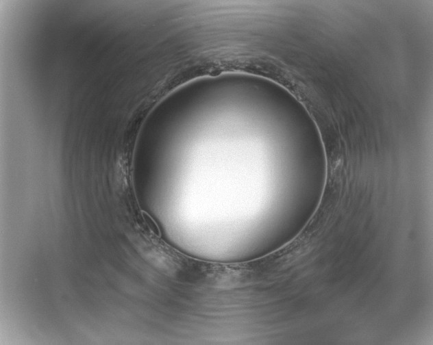 X0000069400772200605151018