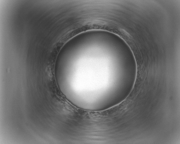 X0000069400774200605151018