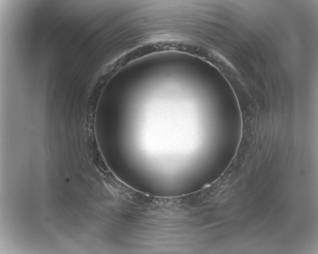 X0000069400775200605151018