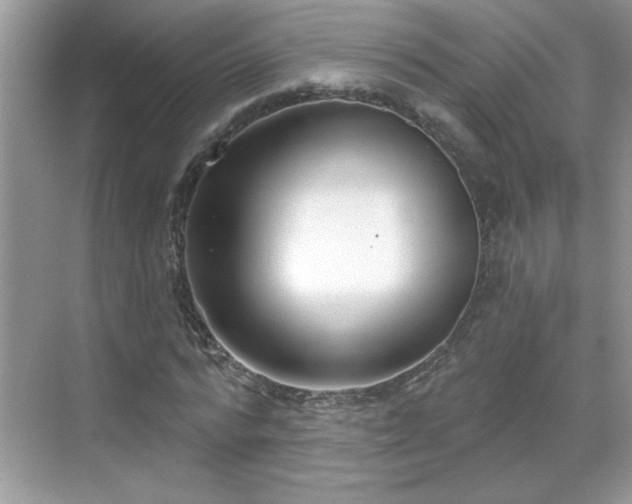 X0000069400776200605151018
