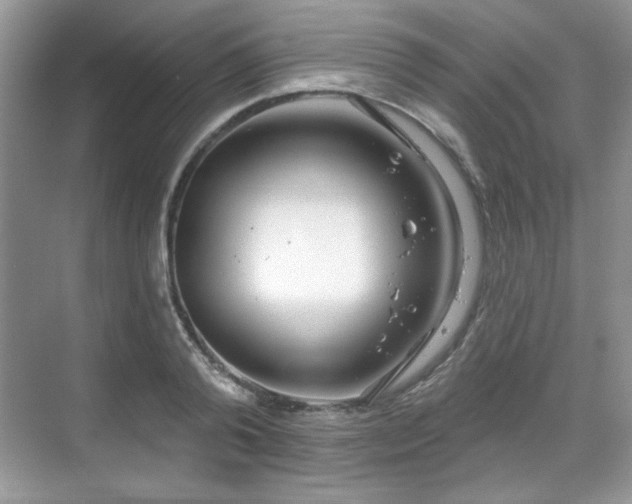 X0000069400792200605151017