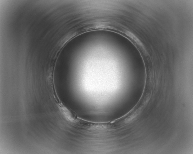 X0000069400801200605151017
