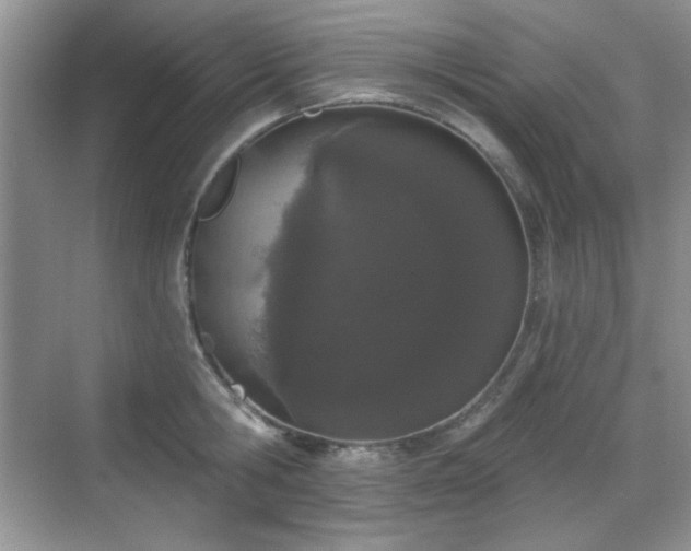 X0000069400806200605151017