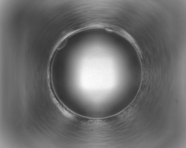 X0000069400811200605151017