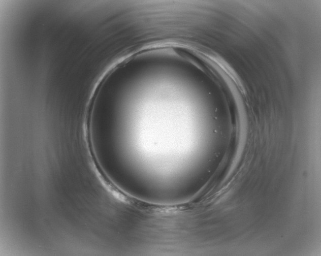 X0000069400813200605151017