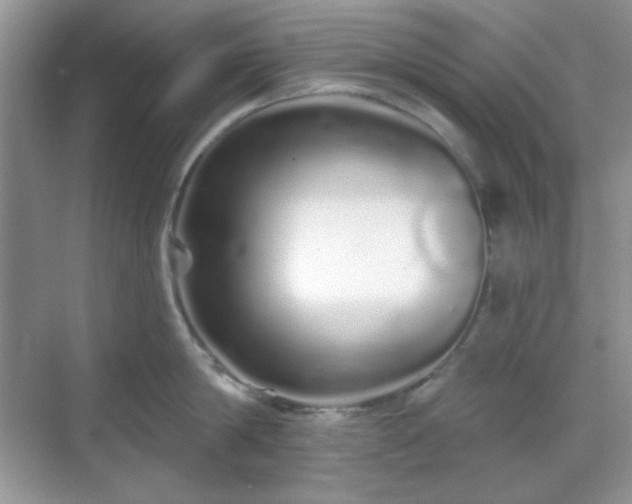 X0000069400814200605151017