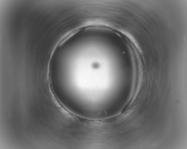 X0000069400815200605151017