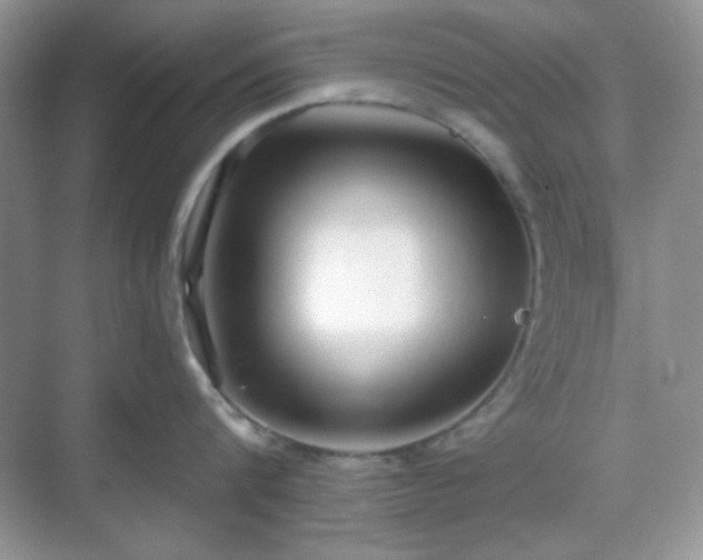 X0000069400816200605151017